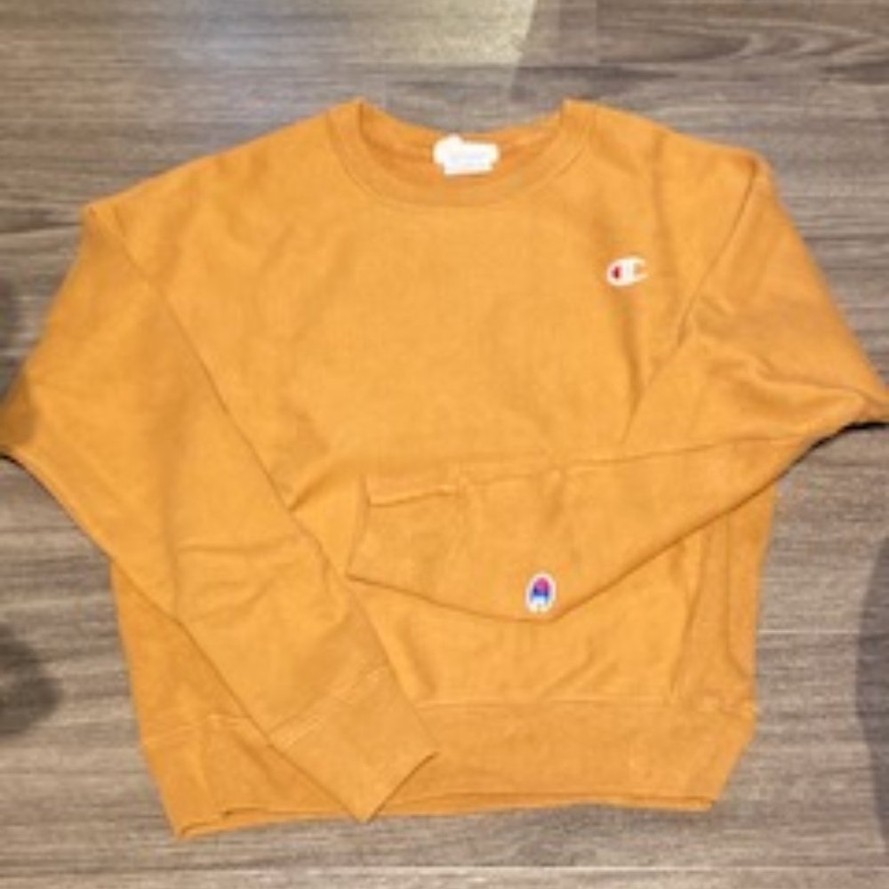 X-Small, Brown Champion Crew-Neck Hoodie.